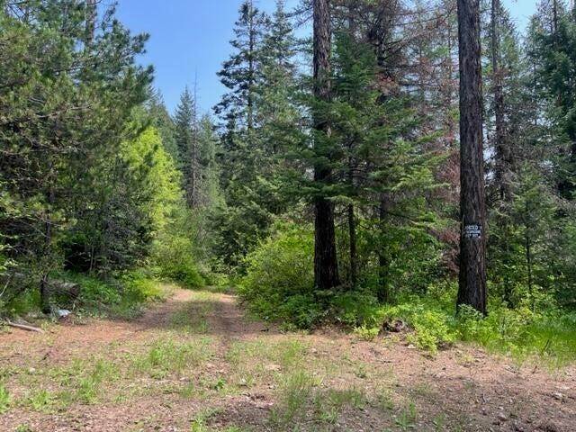 15. Land for Sale at 2024-Tbd Summit Valley Road Addy, Washington 99101 United States