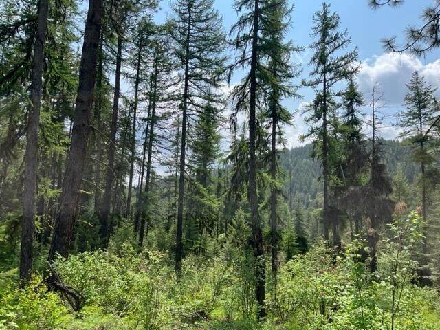 8. Land for Sale at 2024-Tbd Summit Valley Road Addy, Washington 99101 United States