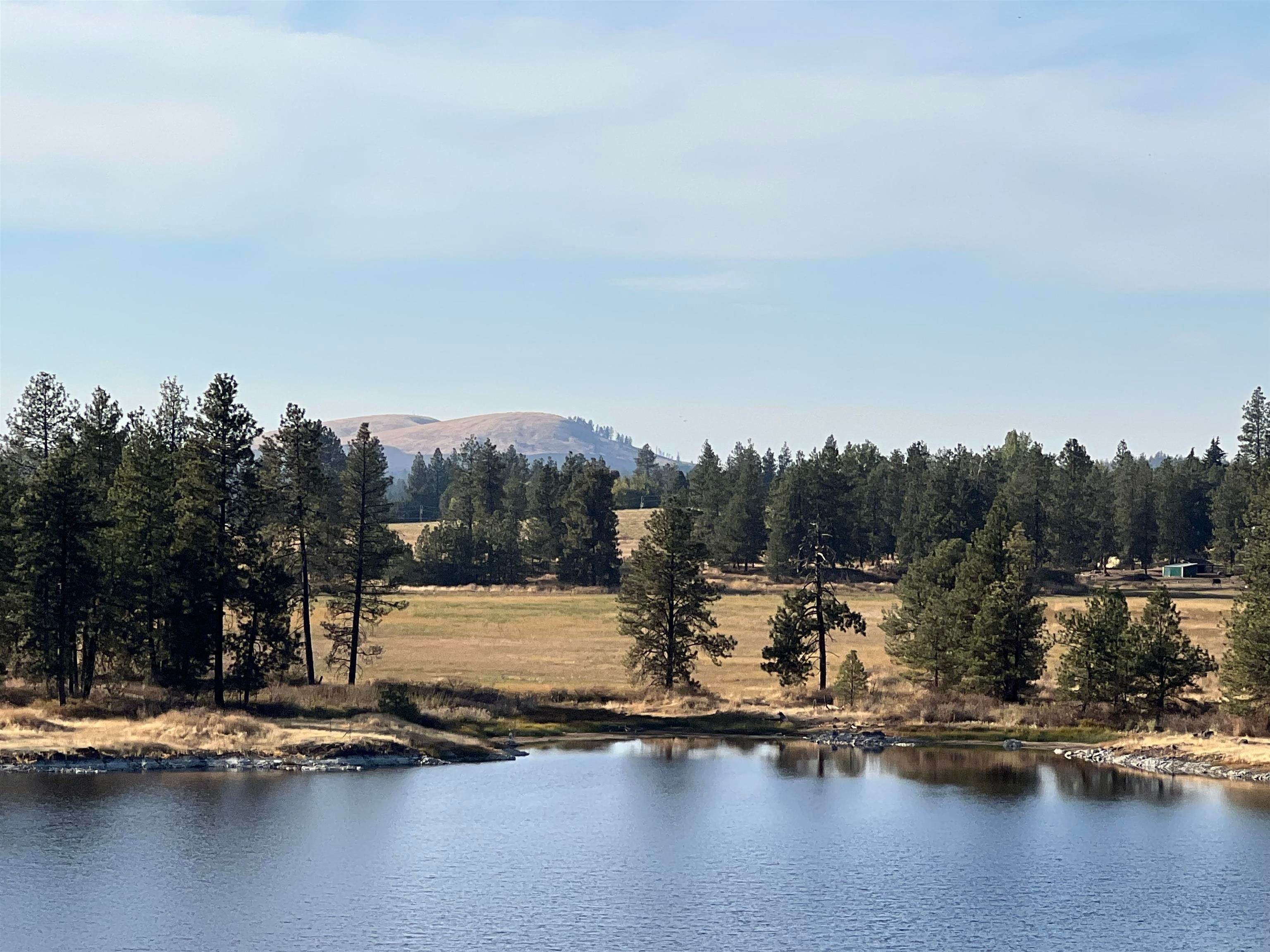 19. Land for Sale at 12000 S Meadow Road Medical Lake, Washington 99022 United States
