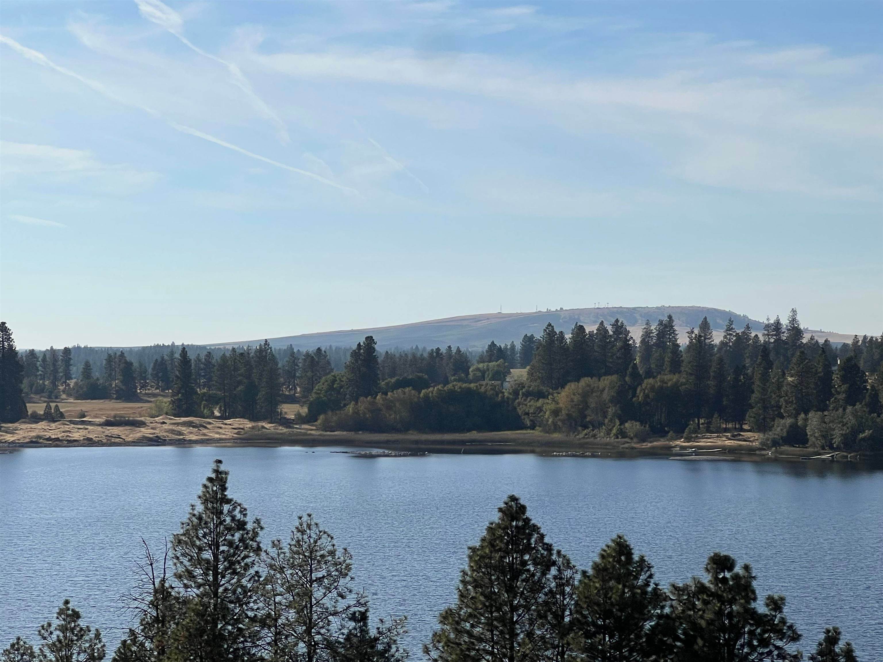 1. Land for Sale at 12000 S Meadow Road Medical Lake, Washington 99022 United States