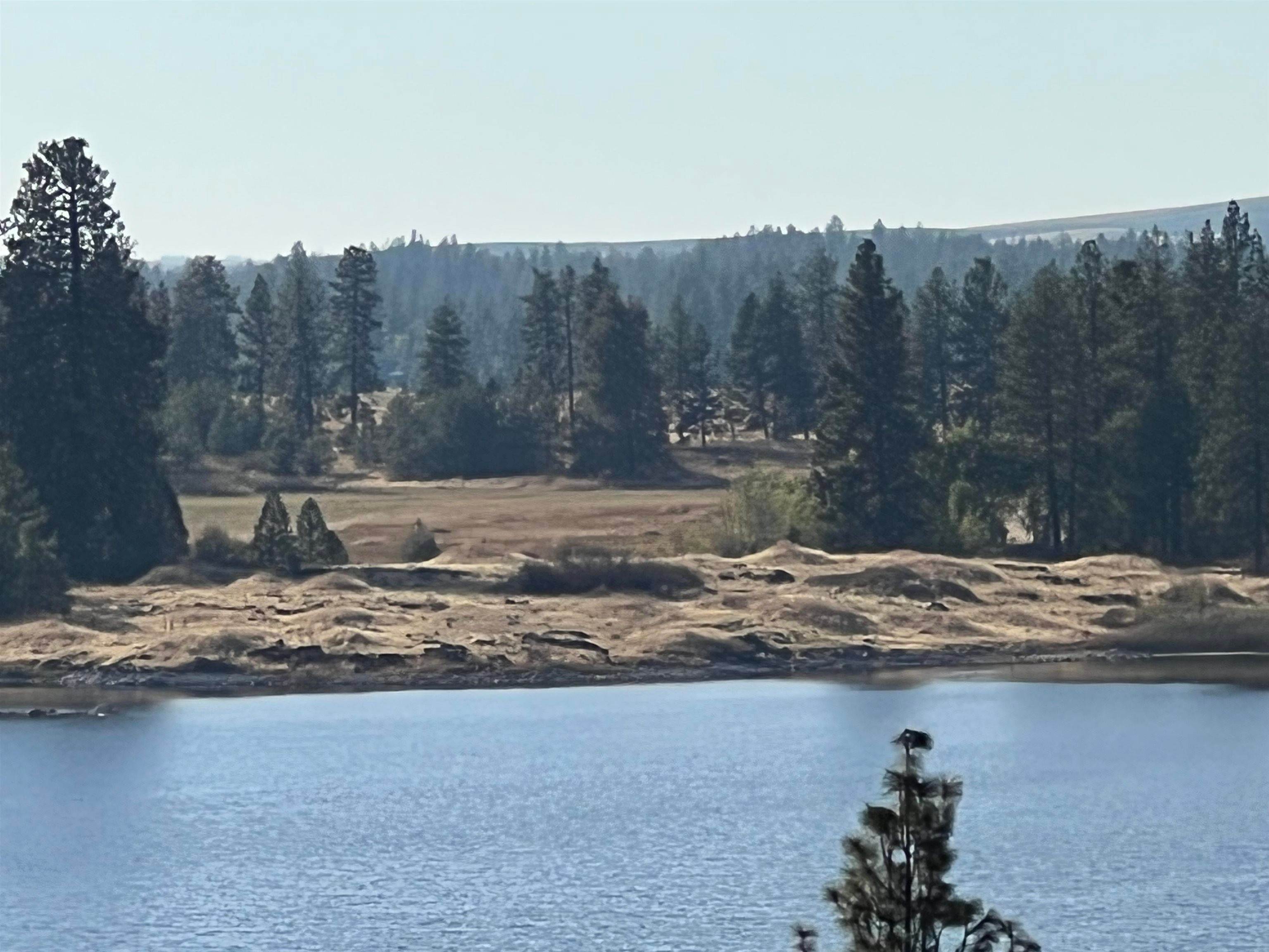 4. Land for Sale at 12000 S Meadow Road Medical Lake, Washington 99022 United States