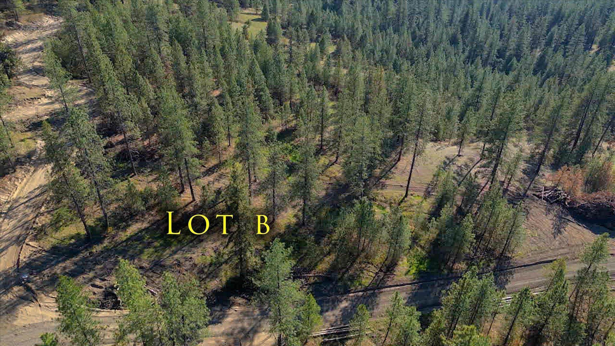 7. Land for Sale at Xx Weaver Way Deer Park, Washington 99006 United States