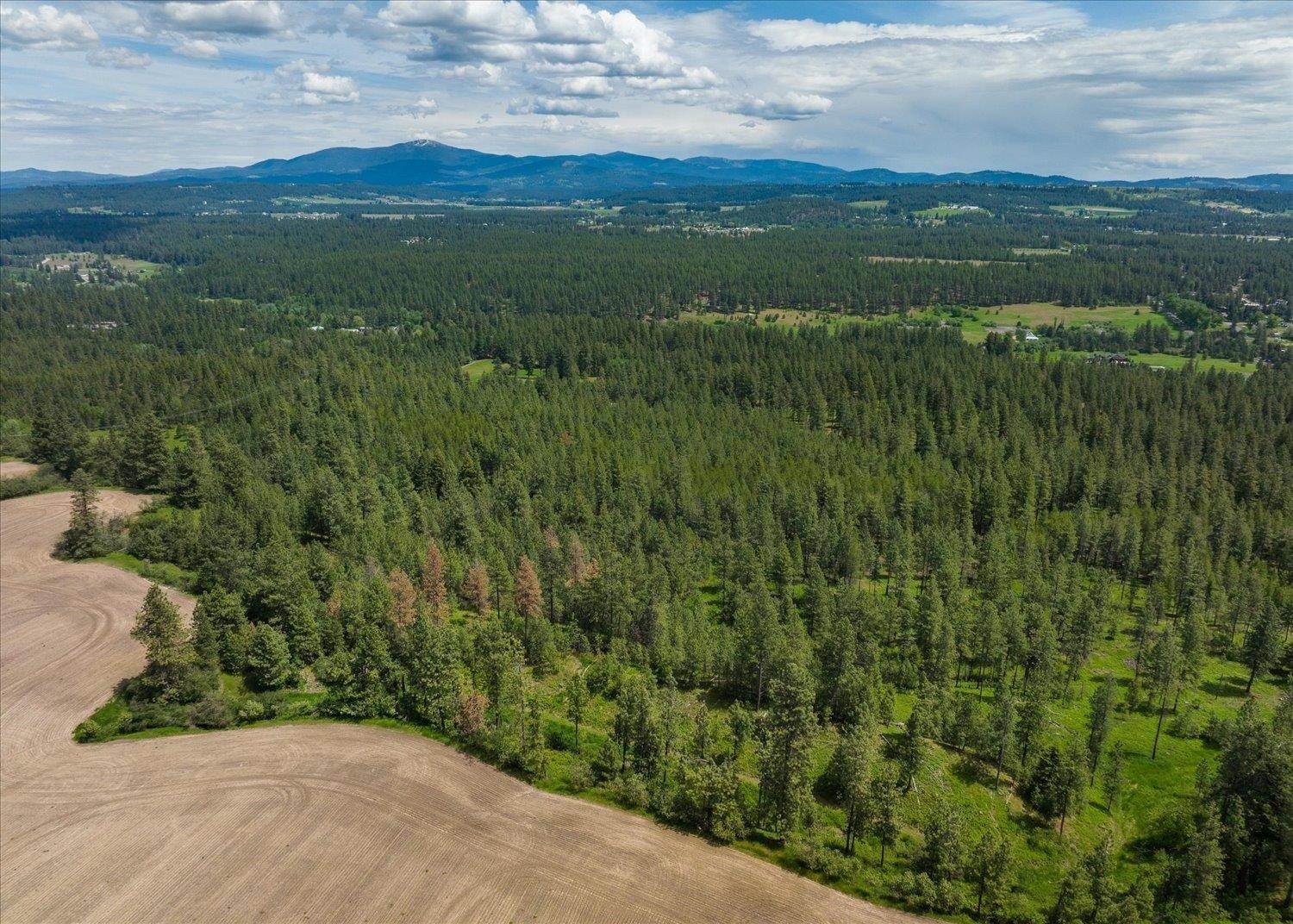 3. Land for Sale at 19xxx N N Hatch Road Road Colbert, Washington 99005 United States