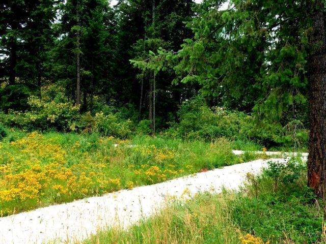 3. Land for Sale at 3378 Hill Loop Road Kettle Falls, Washington 99141 United States
