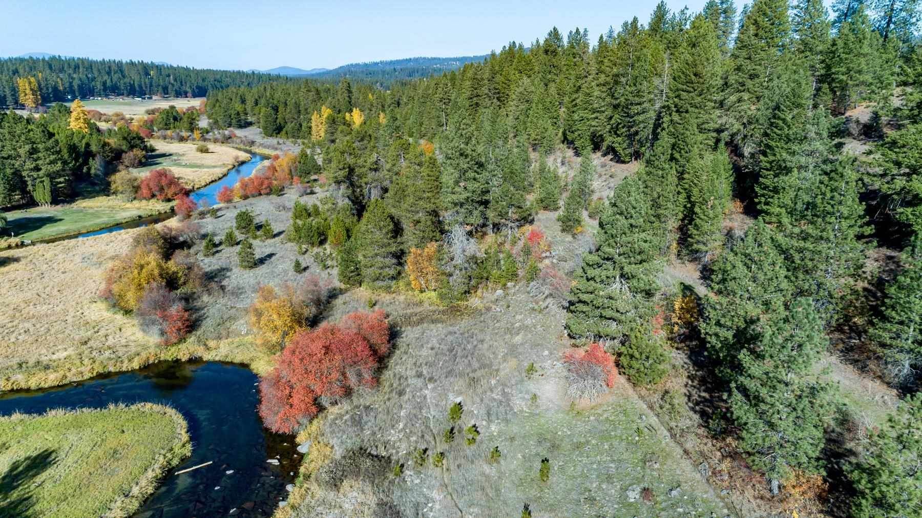 9. Land for Sale at 29000 N Riverway Road Chattaroy, Washington 99003 United States