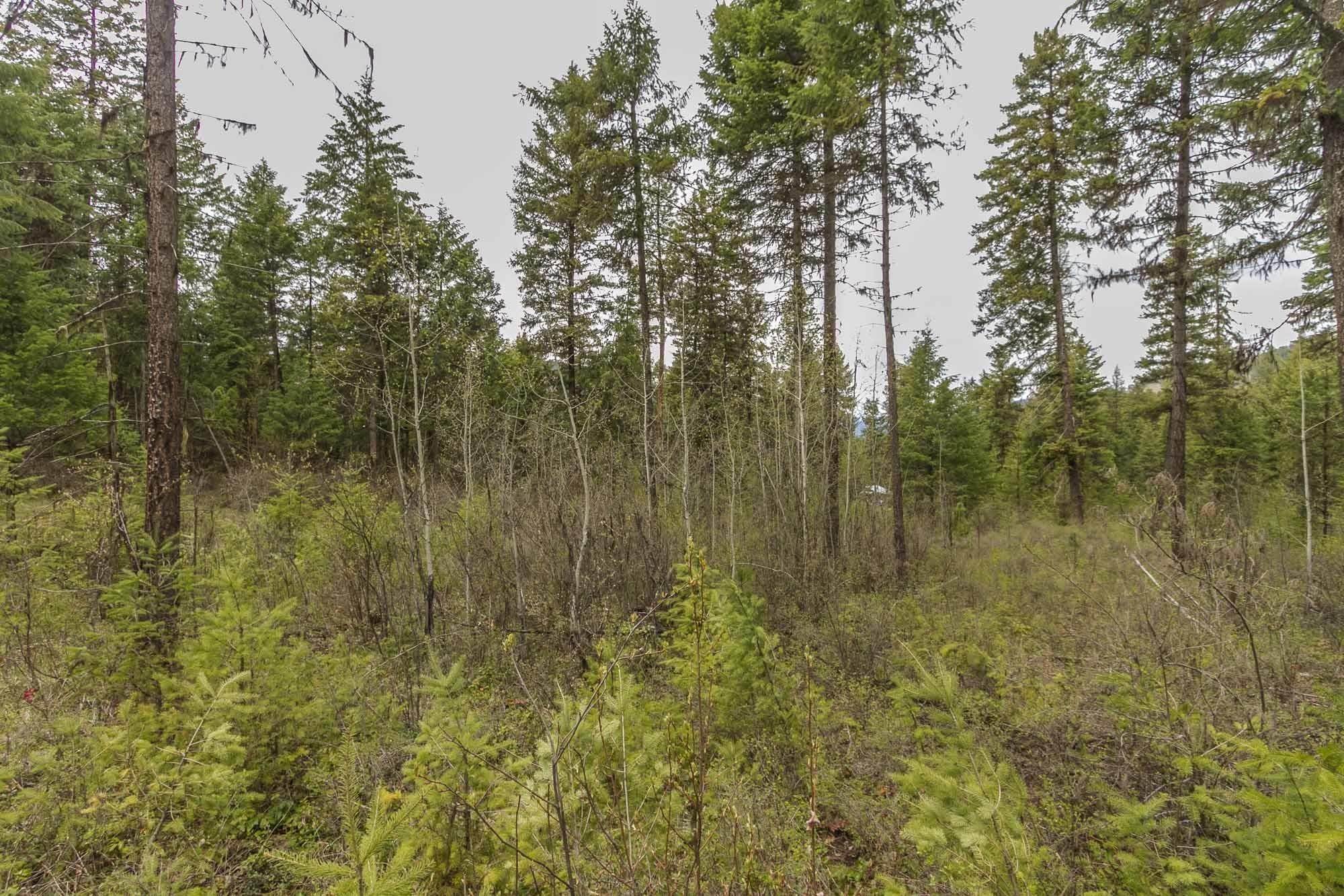 16. Land for Sale at 2277 Quinns Meadow Road Colville, Washington 99114 United States