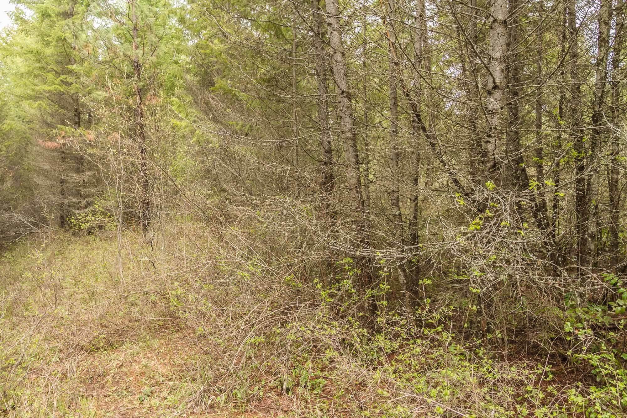20. Land for Sale at 2277 Quinns Meadow Road Colville, Washington 99114 United States