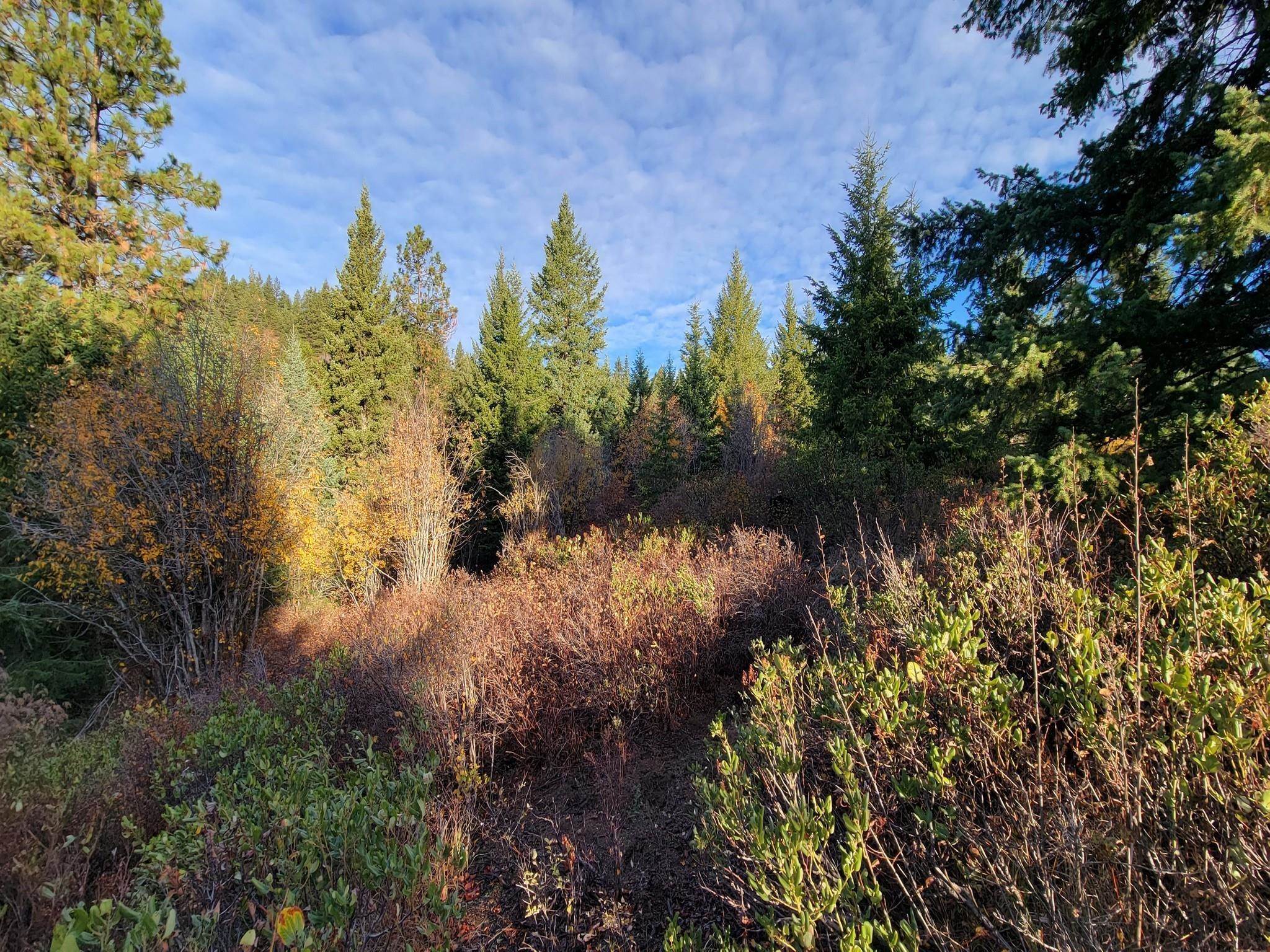 10. Land for Sale at Nkn Deer Valley - 130a Road Newport, Washington 99156 United States