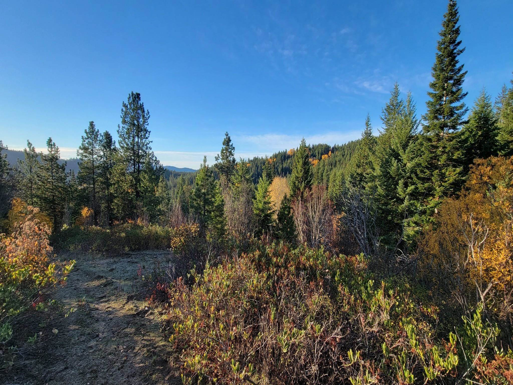 Land for Sale at Nkn Deer Valley - 130a Road Newport, Washington 99156 United States