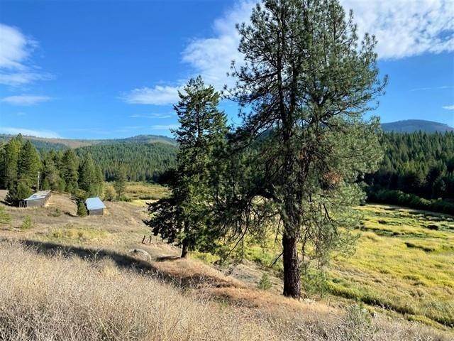 Single Family Homes for Sale at 130 Acres Departure Lane Newport, Washington 99156 United States