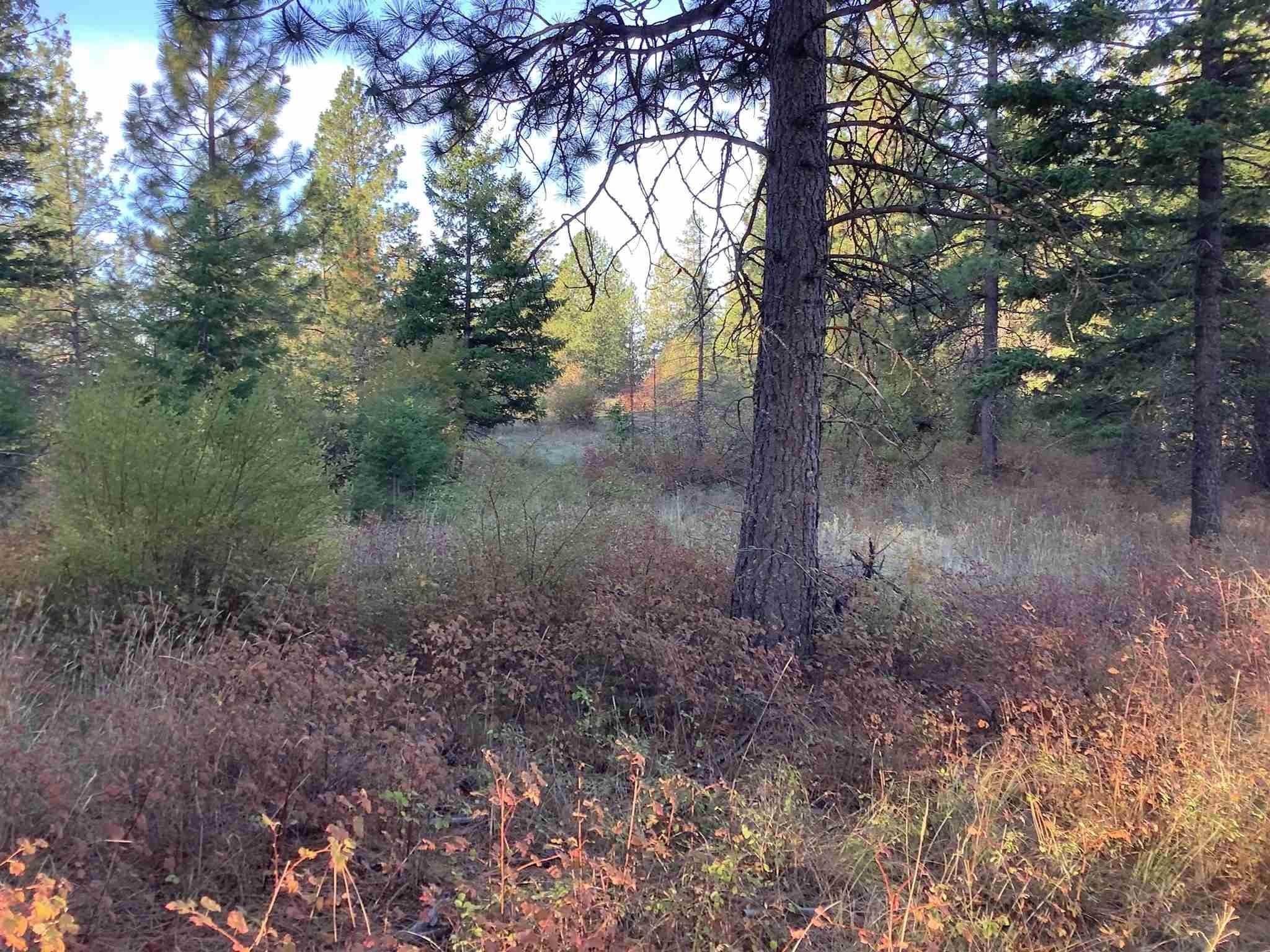 5. Land for Sale at 289xx N Conklin Road Chattaroy, Washington 99003 United States