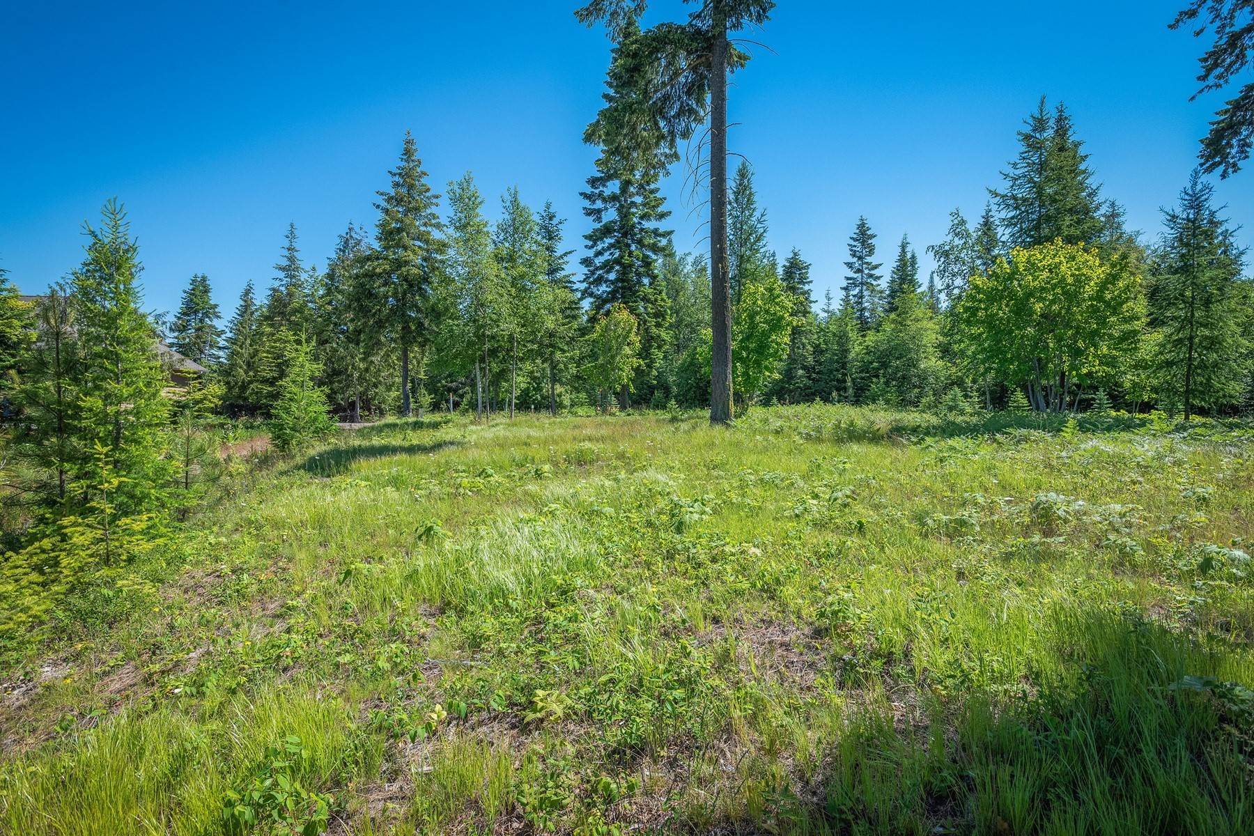 10. Land for Sale at 281 Scenic Dr Bonners Ferry, Idaho 83805 United States