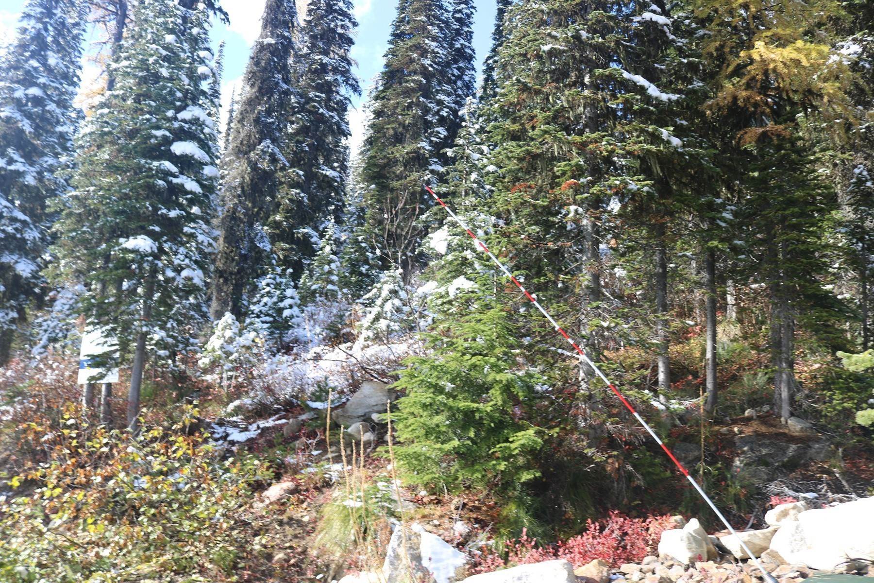13. Land for Sale at Base Camp - Destinguished Area - 3 Density NNA Tall Timber Rd Sandpoint, Idaho 83864 United States