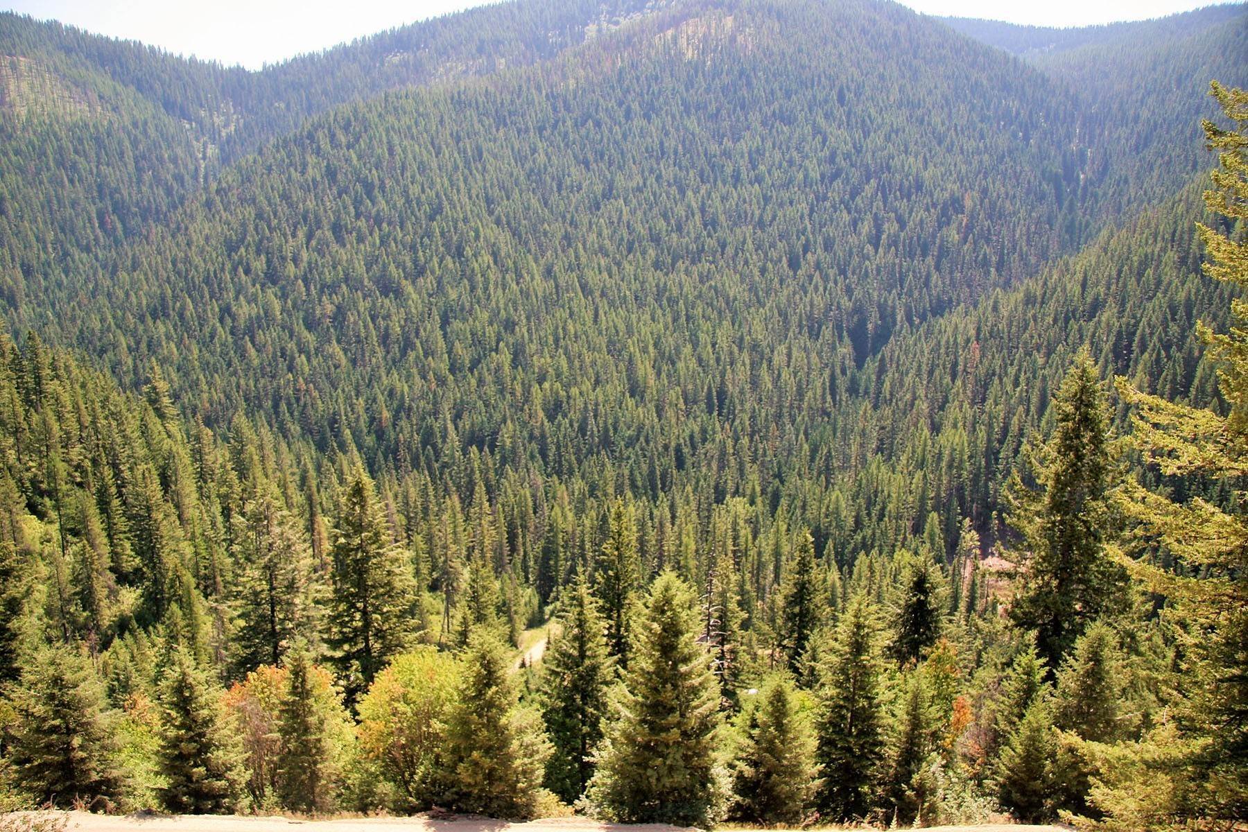 2. Land for Sale at 50 acres with Creek 7000 Moon Pass Rd Wallace, Idaho 83873 United States