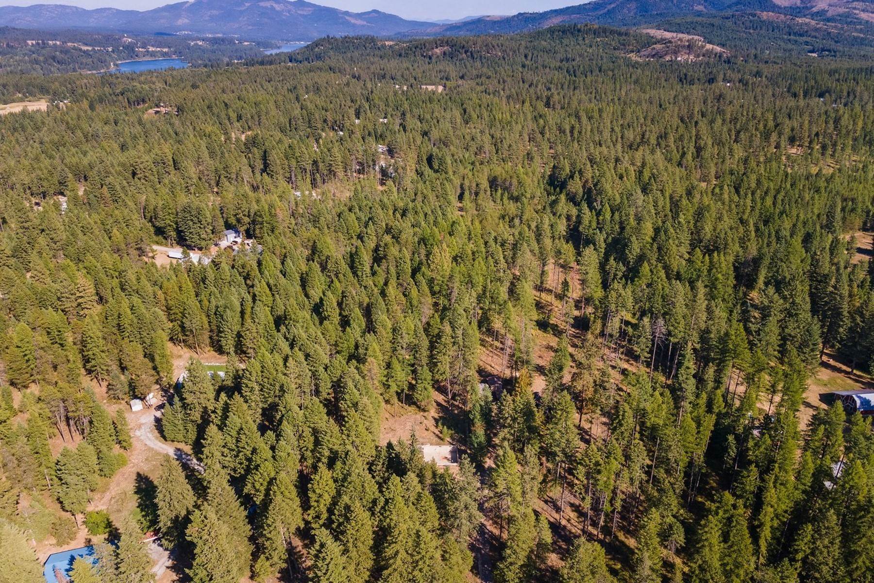 21. Land for Sale at Incredible Lot Fantastic Location 37221 Highway 41 Oldtown, Idaho 83822 United States