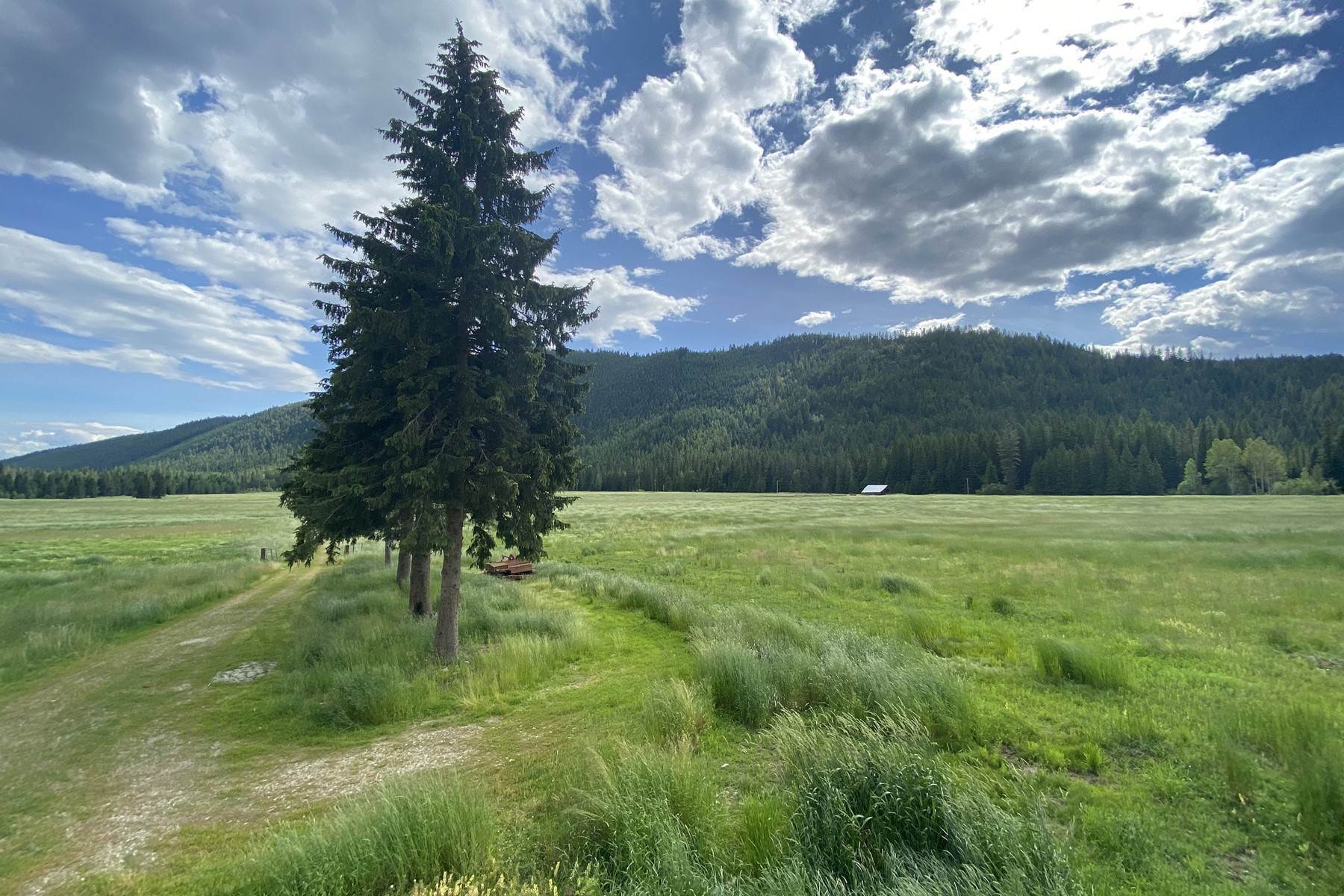 18. Land for Sale at Majestic Meadows 2918 Pine Creek Road (118a) Troy, Montana 59935 United States