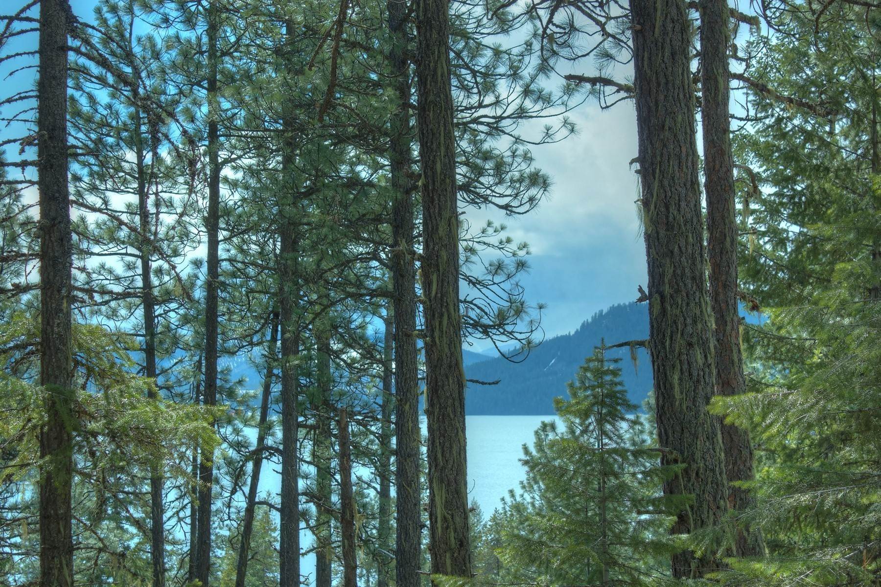 Land for Sale at Nestled Above the Lake NNA East Shore Rd Coolin, Idaho 83821 United States