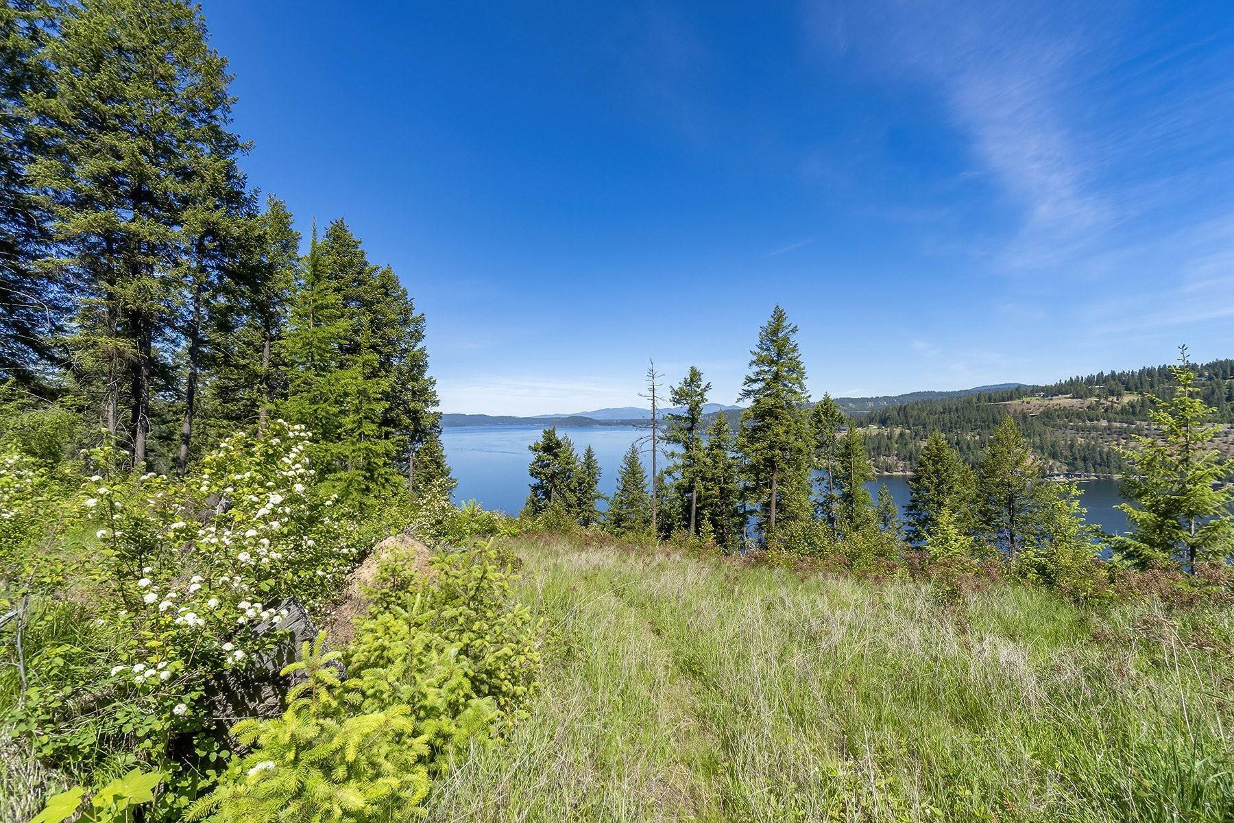 31. Land for Sale at Estate Property on Lake Coeur d'Alene NNA Moscow Bay Rd Harrison, Idaho 83833 United States