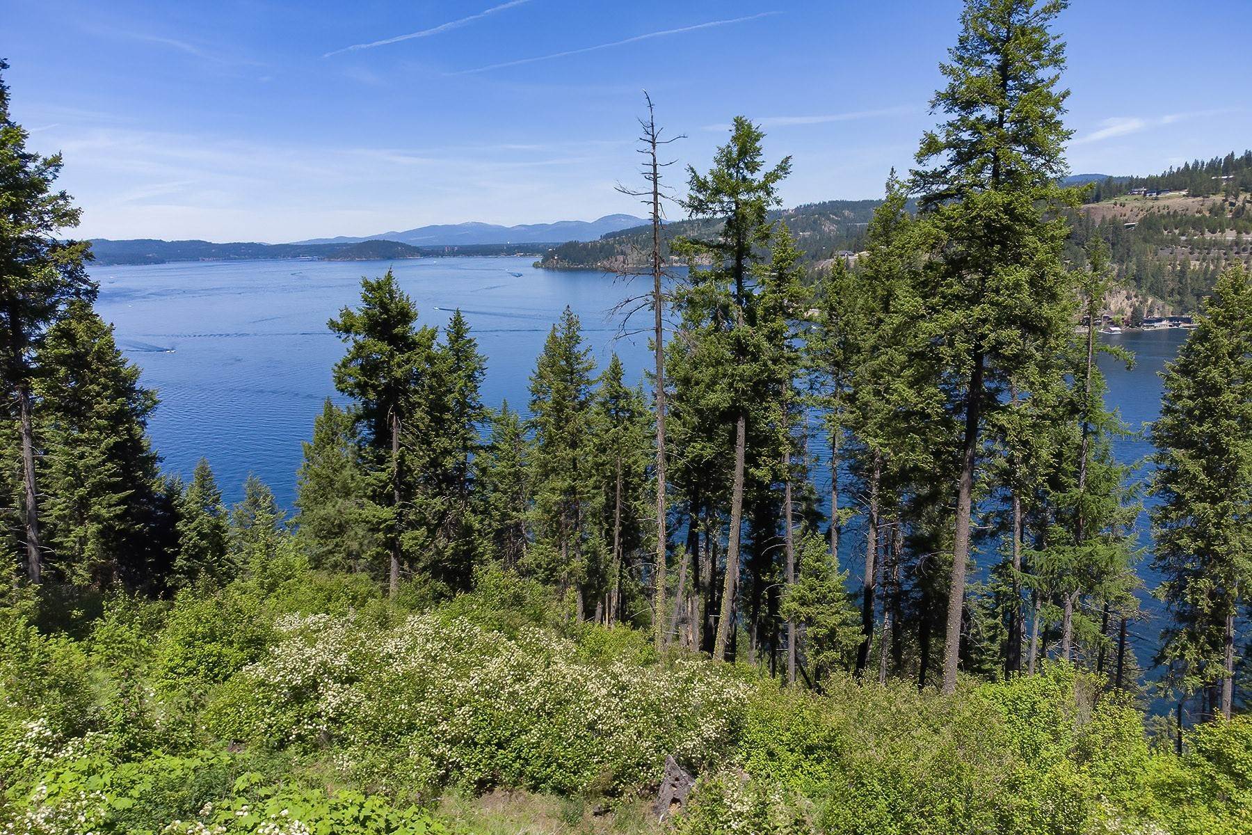 21. Land for Sale at Estate Property on Lake Coeur d'Alene NNA Moscow Bay Rd Harrison, Idaho 83833 United States