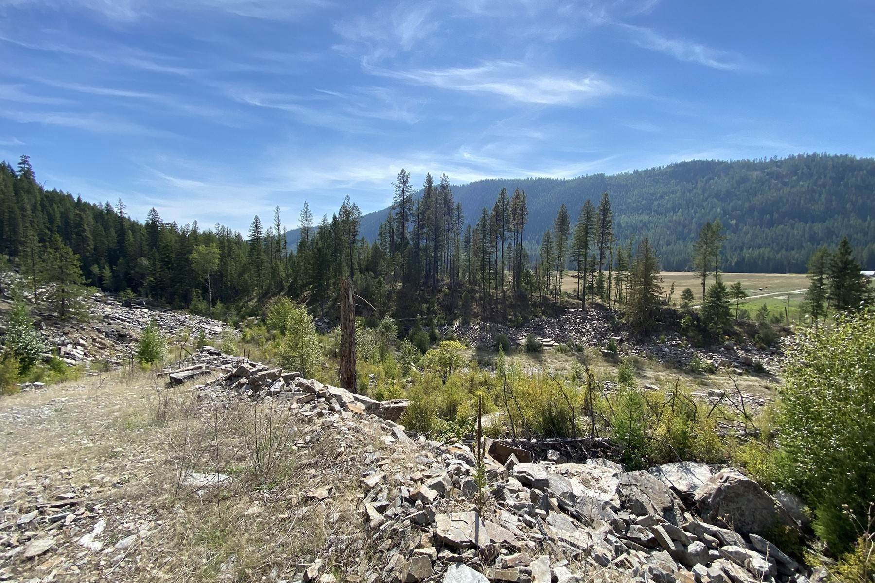 35. Land for Sale at Majestic Meadows 2918 Pine Creek Road (118a) Troy, Montana 59935 United States
