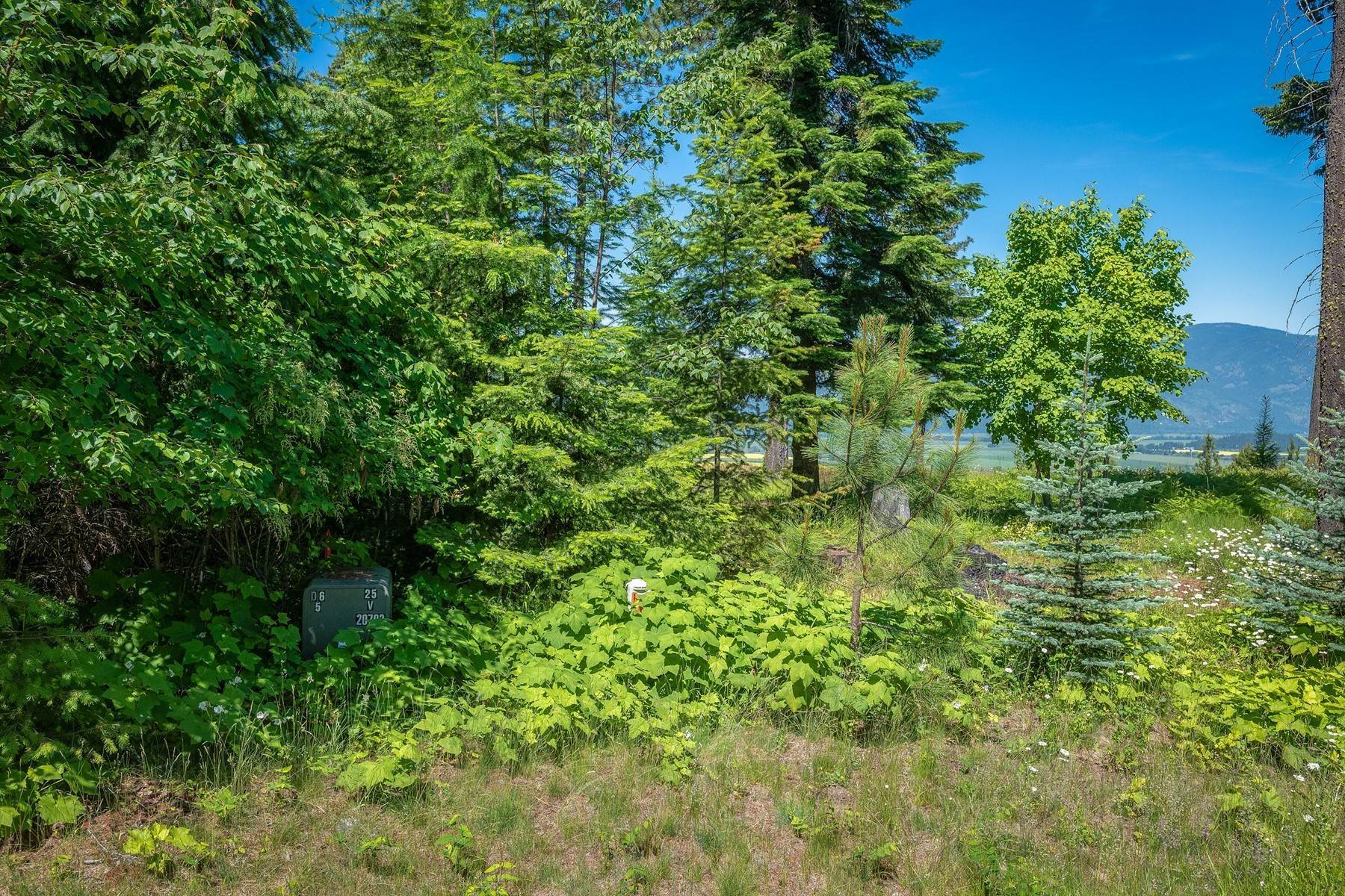 23. Land for Sale at 281 Scenic Dr Bonners Ferry, Idaho 83805 United States