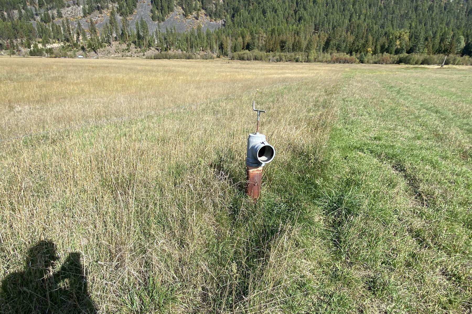 9. Land for Sale at Majestic Meadows 20a Pine Creek (L3) Rd Troy, Montana 59935 United States
