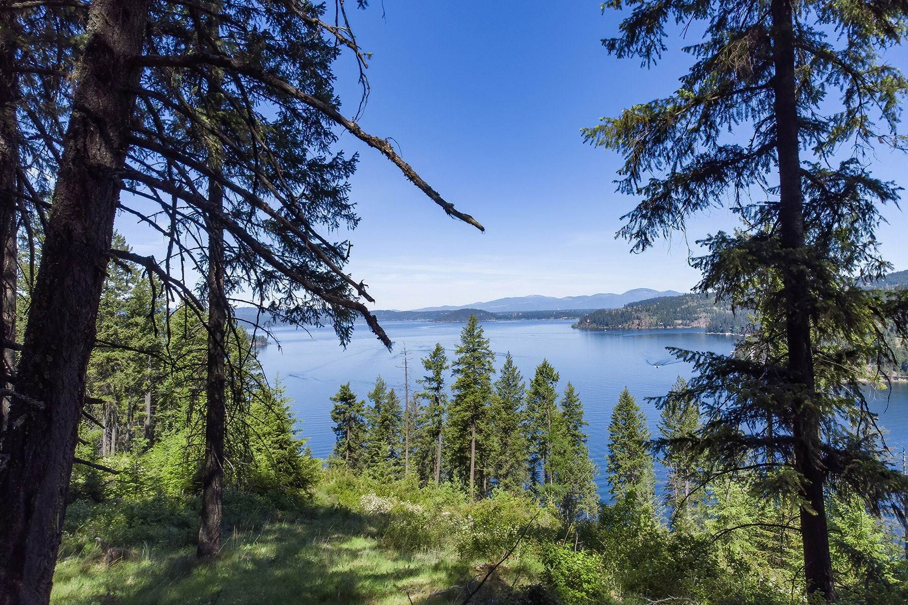 18. Land for Sale at Estate Property on Lake Coeur d'Alene NNA Moscow Bay Rd Harrison, Idaho 83833 United States
