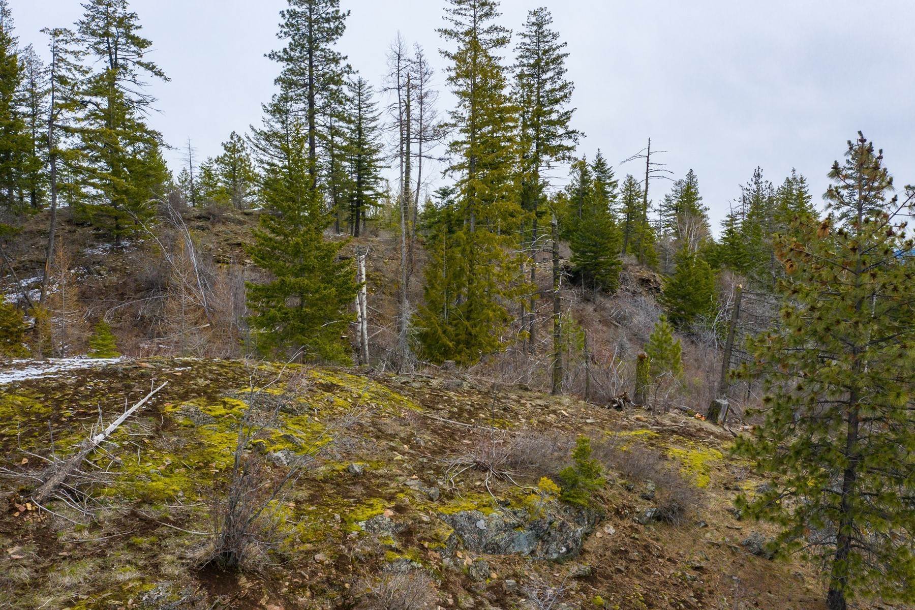 18. Land for Sale at Mountain top getaway 2255 Upper Manley Creek Priest River, Idaho 83856 United States