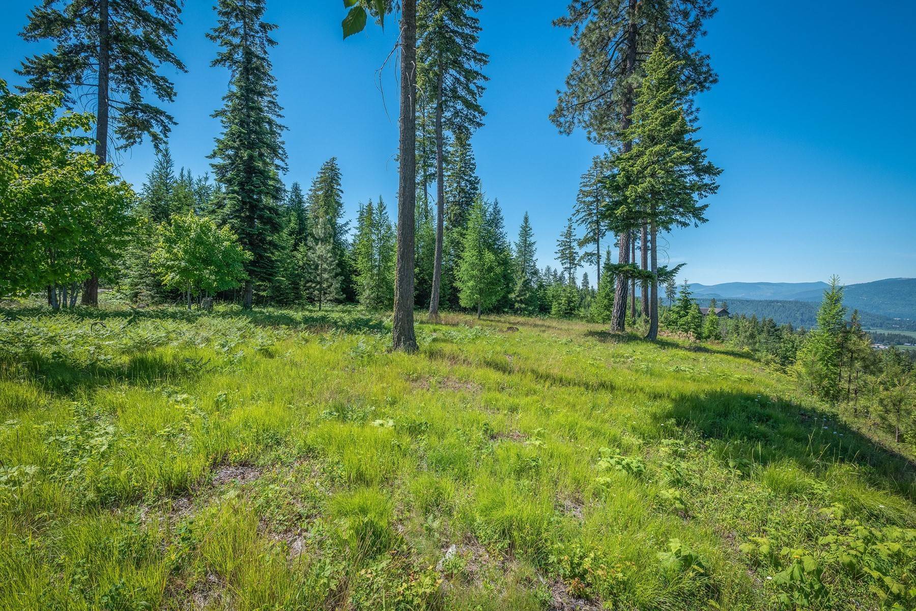 7. Land for Sale at 281 Scenic Dr Bonners Ferry, Idaho 83805 United States