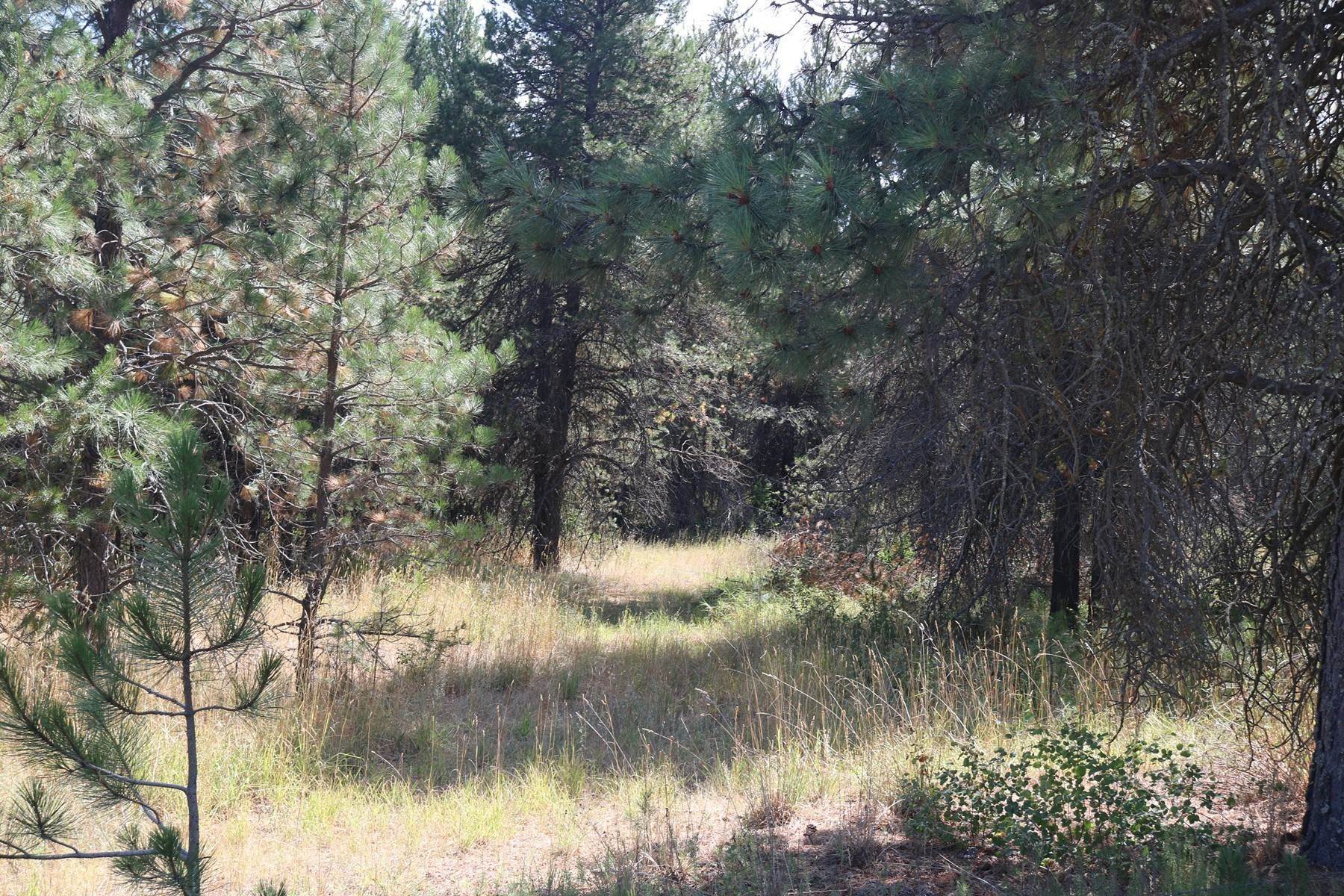 5. Land for Sale at 5a Hester Rd Athol, Idaho 83801 United States