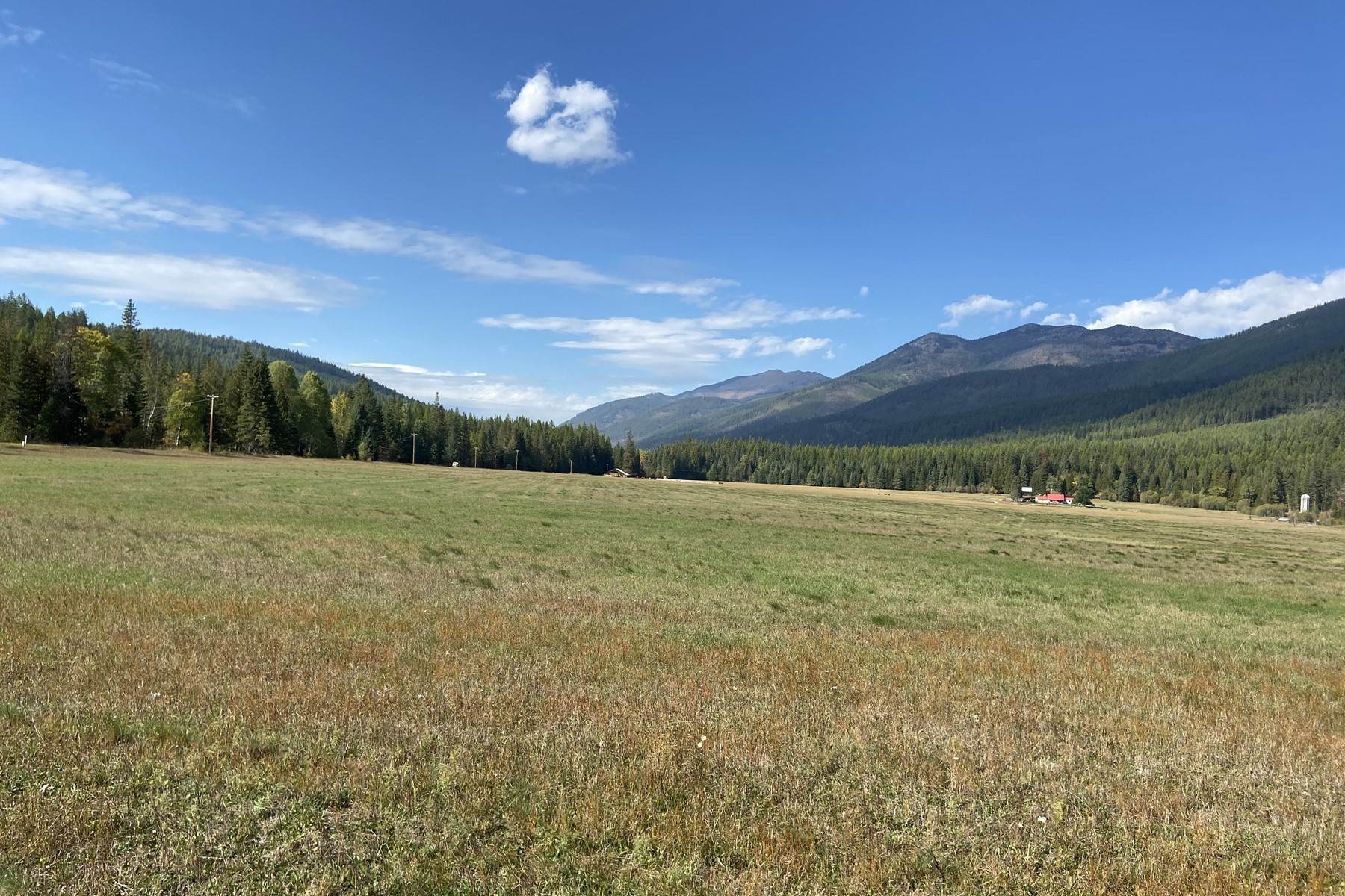 20. Land for Sale at Majestic Meadows 2918 Pine Creek Road (118a) Troy, Montana 59935 United States