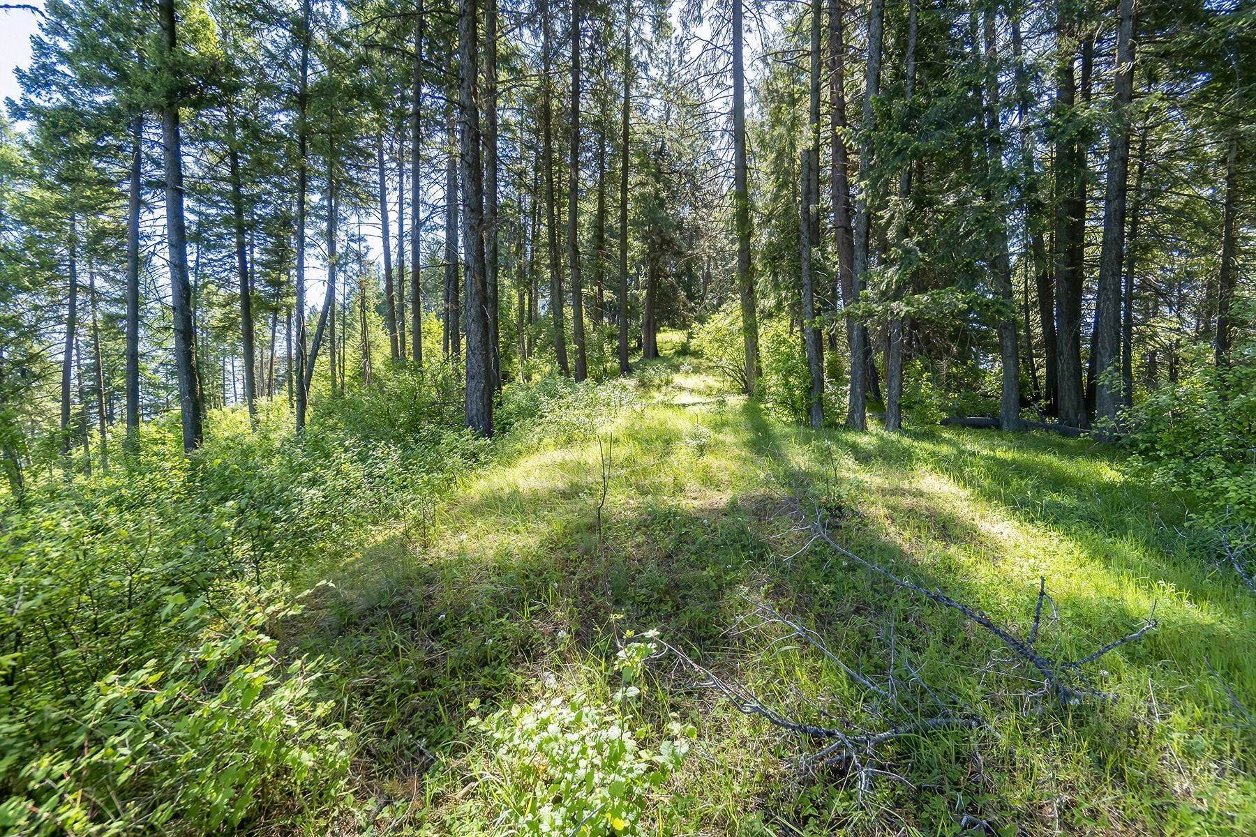 35. Land for Sale at Estate Property on Lake Coeur d'Alene NNA Moscow Bay Rd Harrison, Idaho 83833 United States