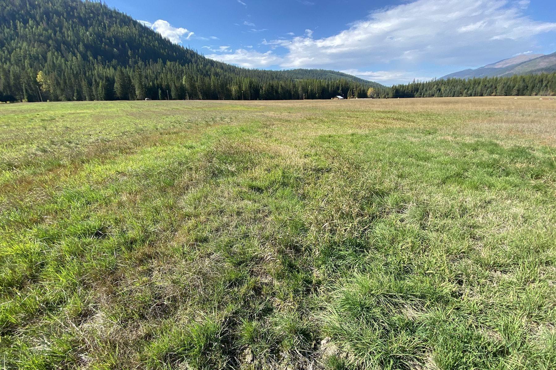 3. Land for Sale at Majestic Meadows Lot 5 20a Pine Creek (L5) Rd Troy, Montana 59935 United States