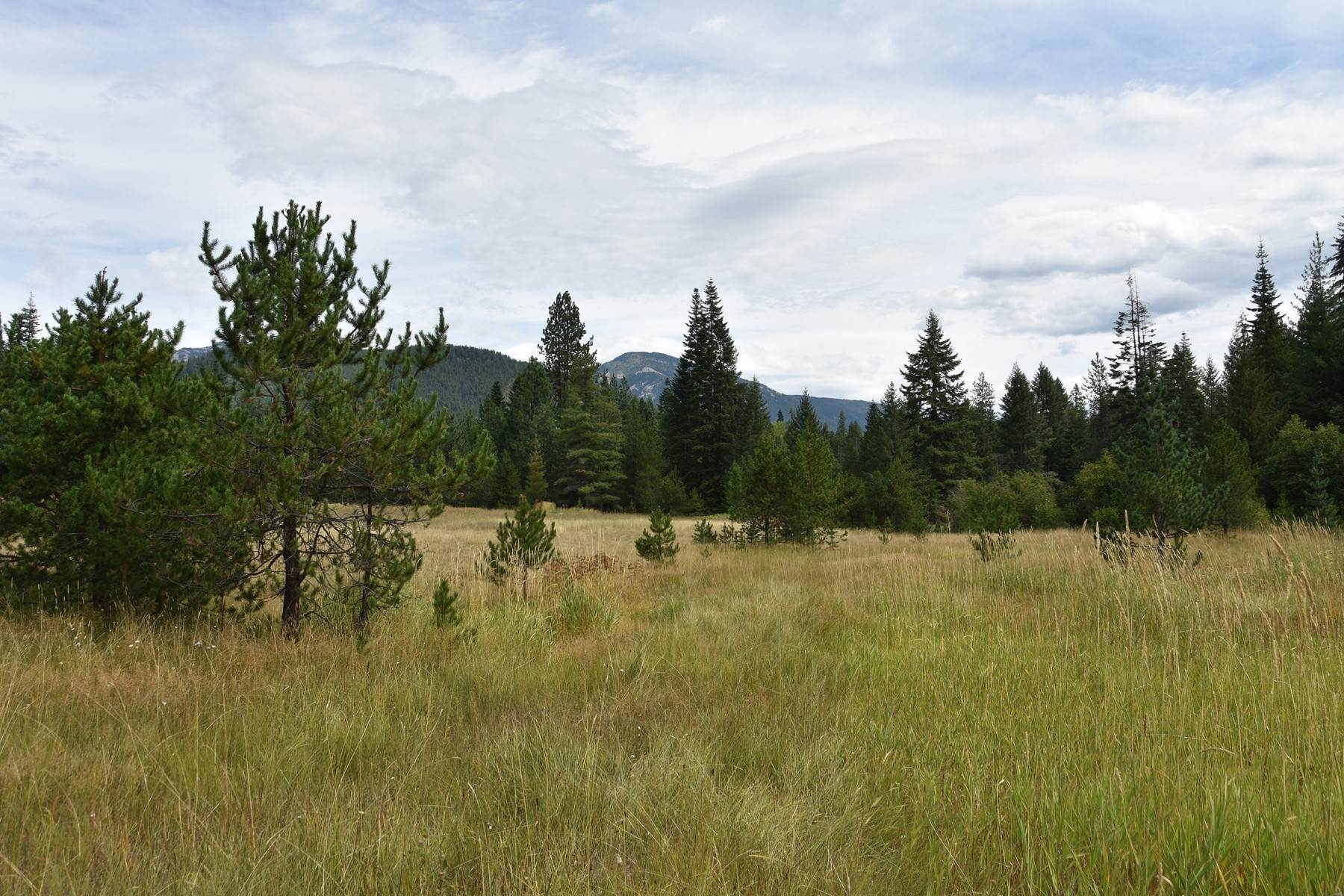 19. Land for Sale at 2755 Usfs Rd 2295 Clark Fork, Idaho 83811 United States