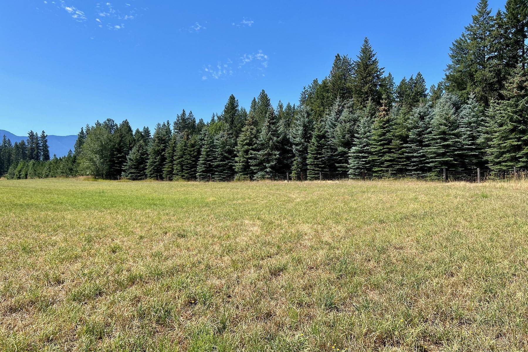 36. Land for Sale at Beautiful Mountain Views; Subdividable NNA Promise Lane Moyie Springs, Idaho 83845 United States
