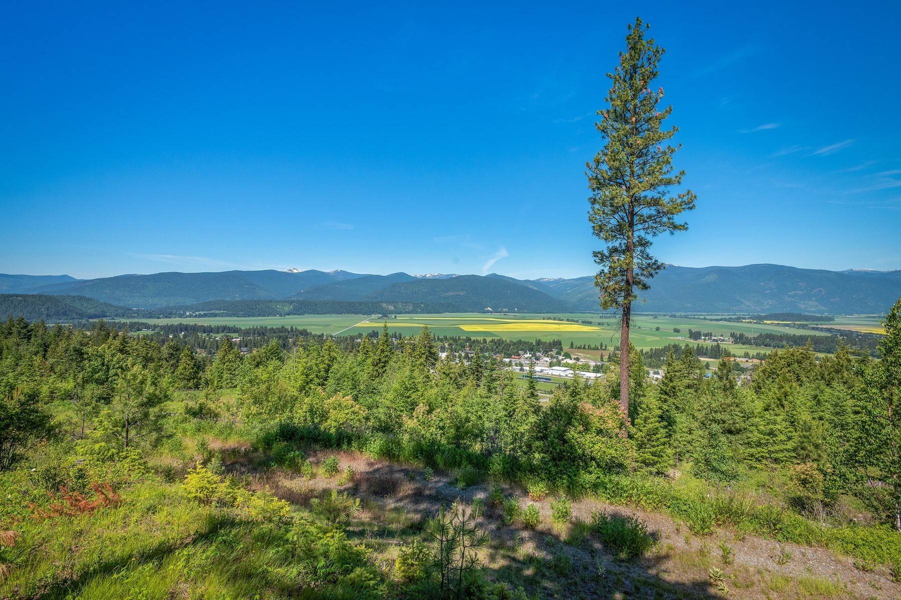 9. Land for Sale at 281 Scenic Dr Bonners Ferry, Idaho 83805 United States