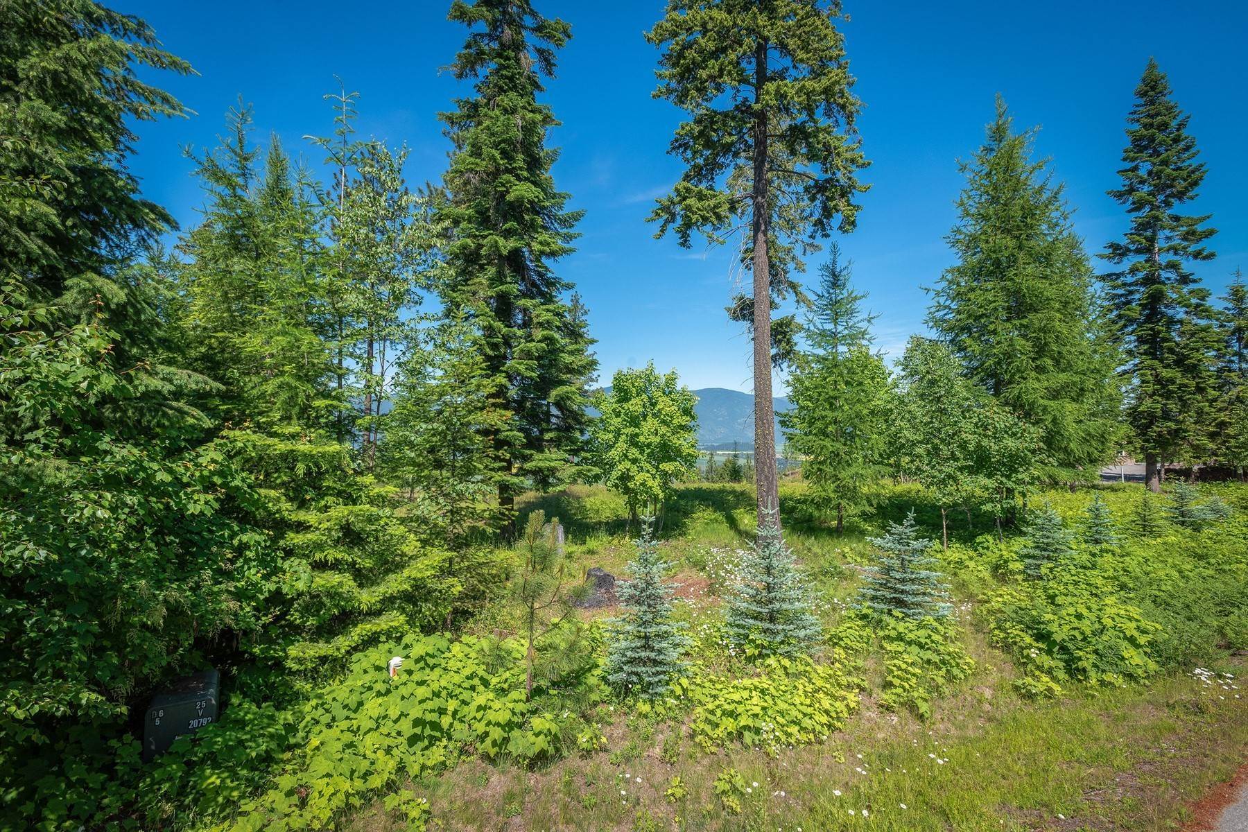27. Land for Sale at 281 Scenic Dr Bonners Ferry, Idaho 83805 United States